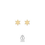 گوشواره میخی گل شش‌پر gosh-132