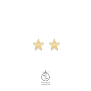 گوشواره ستاره تو پرgosh-121