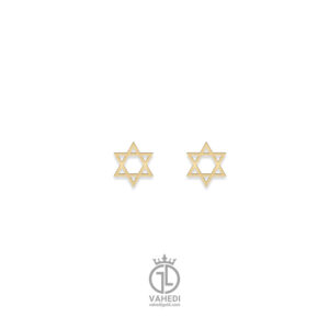 گوشواره ستاره تو خالیgosh-120