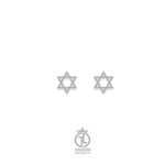 گوشواره ستاره تو خالیgosh-120