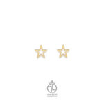 گوشواره میخی ستاره gosh-113